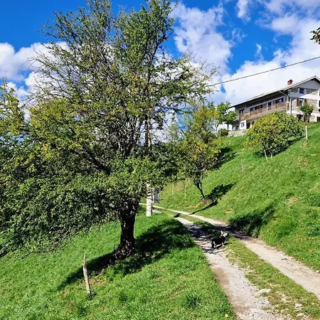 Vrhouc Tolmin