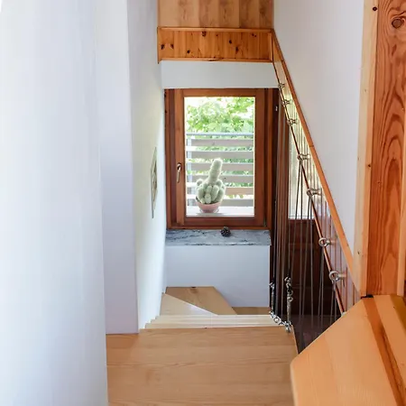 Apartment Vrhouc *