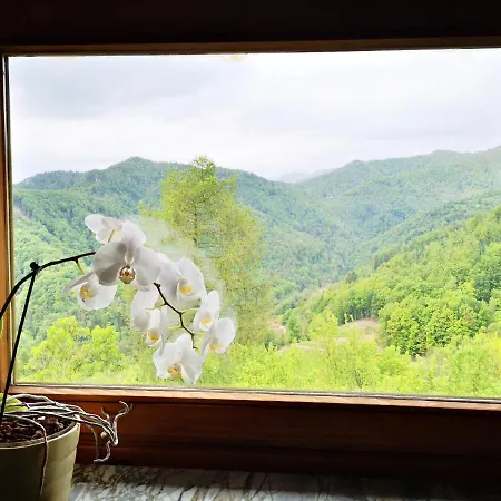 Vrhouc Apartment Tolmin