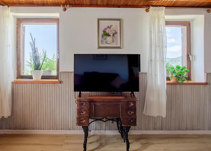 Appartamento Vrhouc *